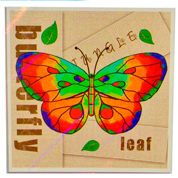 Kit arte 5D diamante Mariposa - 1037 - Imagen 2