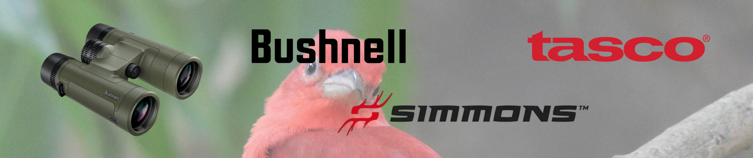 Copia de Copia de Sigues regalando medias y corbatas (2)